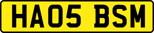 HA05BSM