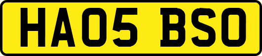 HA05BSO