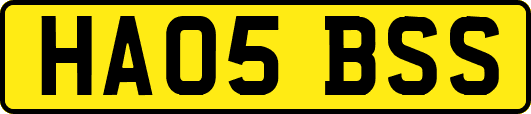 HA05BSS