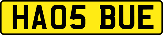 HA05BUE