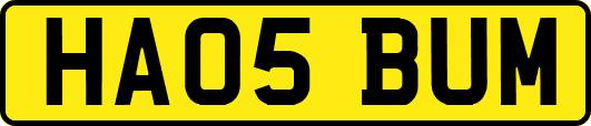 HA05BUM