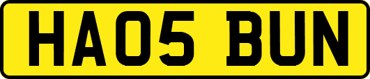HA05BUN