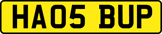 HA05BUP