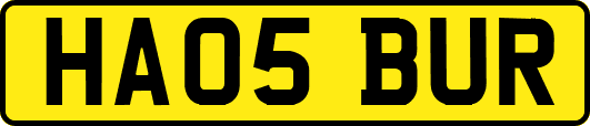 HA05BUR