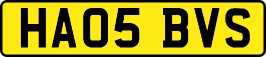 HA05BVS