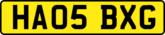 HA05BXG