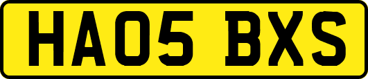 HA05BXS