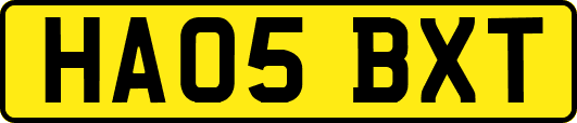 HA05BXT