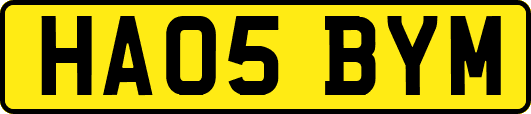 HA05BYM