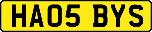 HA05BYS