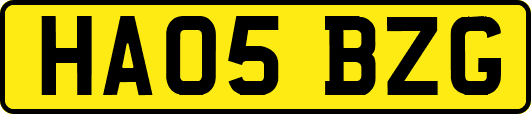 HA05BZG
