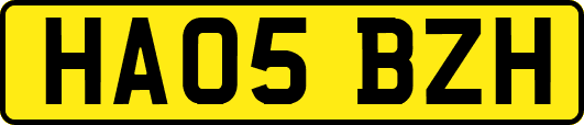 HA05BZH