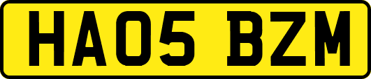 HA05BZM
