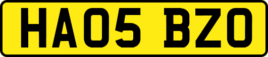 HA05BZO