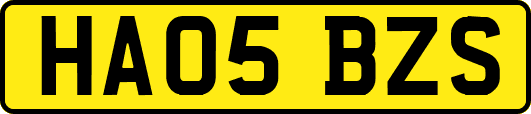 HA05BZS