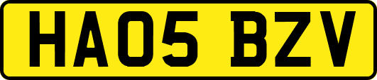 HA05BZV