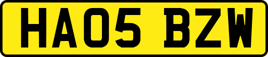 HA05BZW