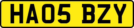 HA05BZY