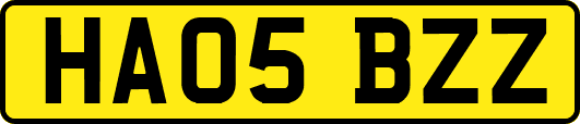 HA05BZZ