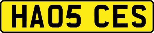 HA05CES