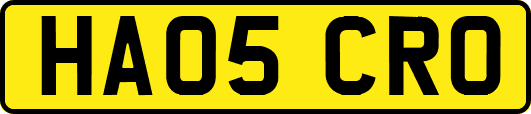 HA05CRO