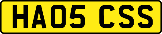 HA05CSS