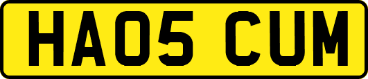 HA05CUM