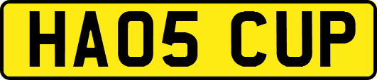 HA05CUP