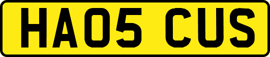 HA05CUS