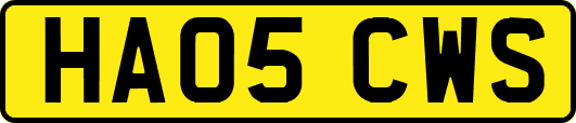 HA05CWS