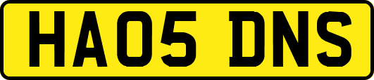 HA05DNS