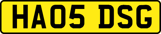 HA05DSG