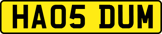 HA05DUM