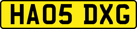 HA05DXG