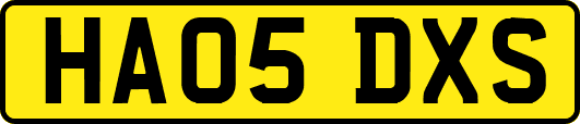 HA05DXS