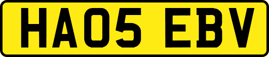 HA05EBV
