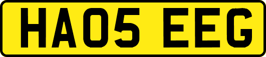 HA05EEG