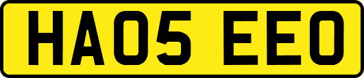 HA05EEO