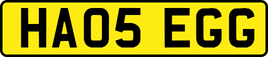 HA05EGG