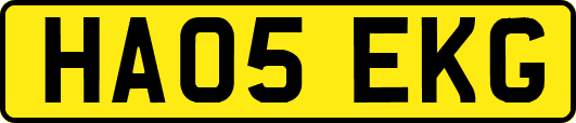 HA05EKG