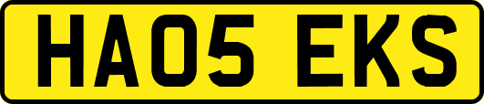 HA05EKS