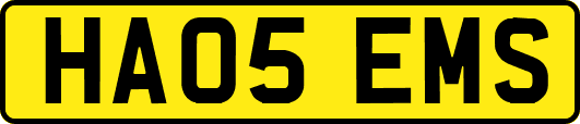HA05EMS