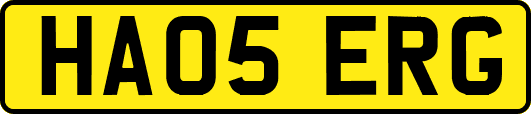 HA05ERG