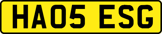 HA05ESG