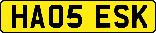 HA05ESK