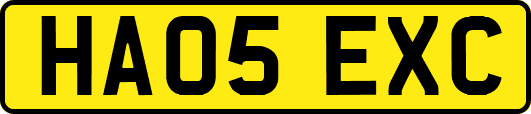 HA05EXC