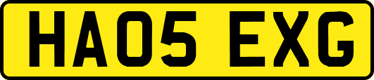 HA05EXG