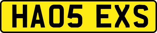 HA05EXS