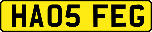 HA05FEG