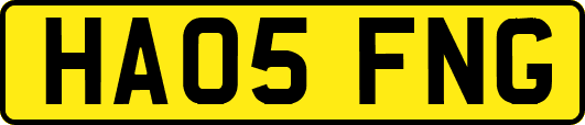 HA05FNG